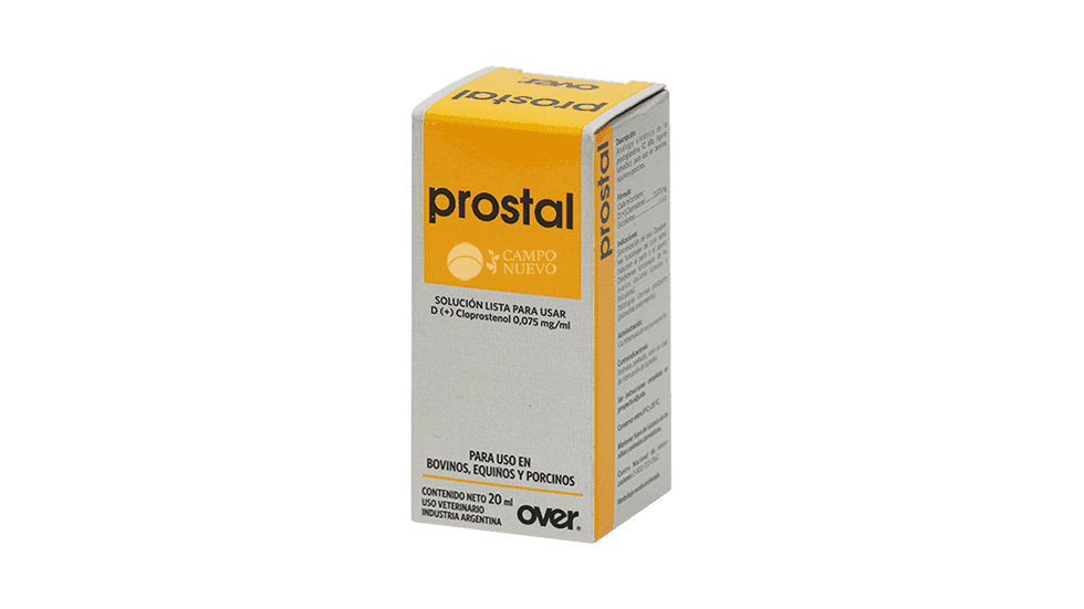 Prostal